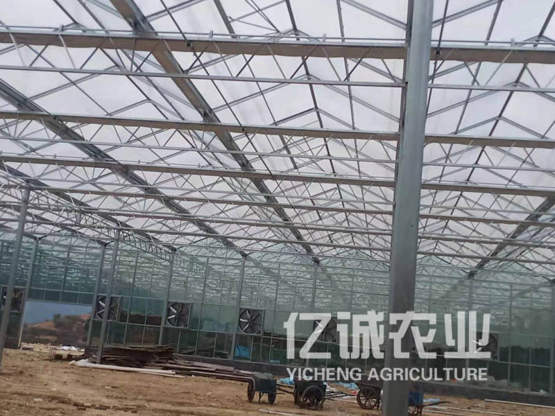 智能蔬菜温室大棚结束了中国北方到了冬天就只能靠萝卜、白菜生活的日子