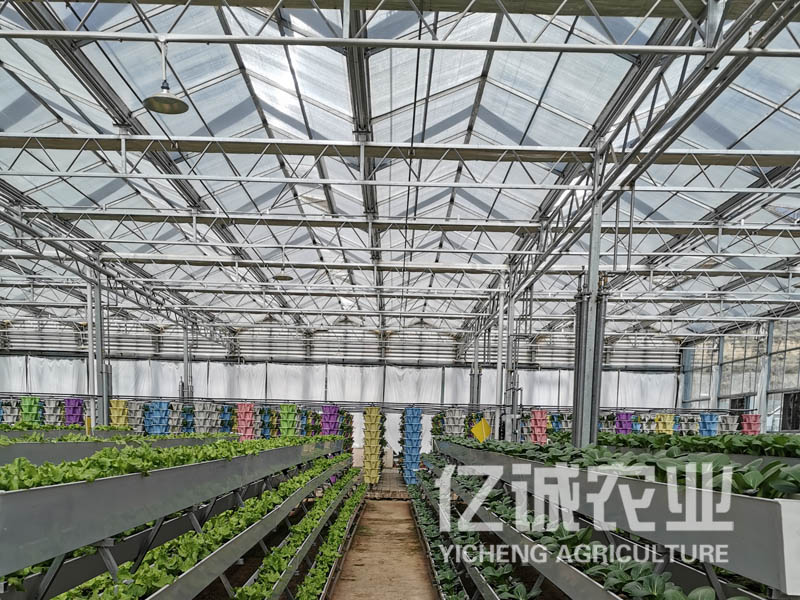现代温室大棚建设 现代温室大棚建设