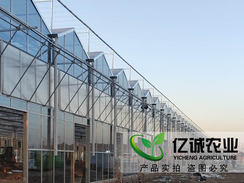 温室工程建设厂家 温室工程建设厂家