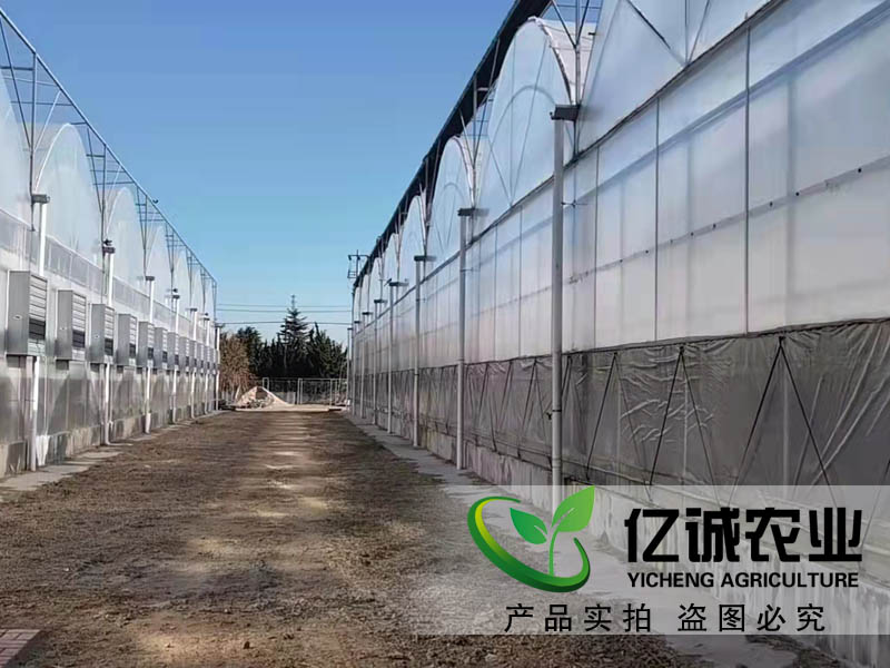 高端智能玻璃温室大棚建设