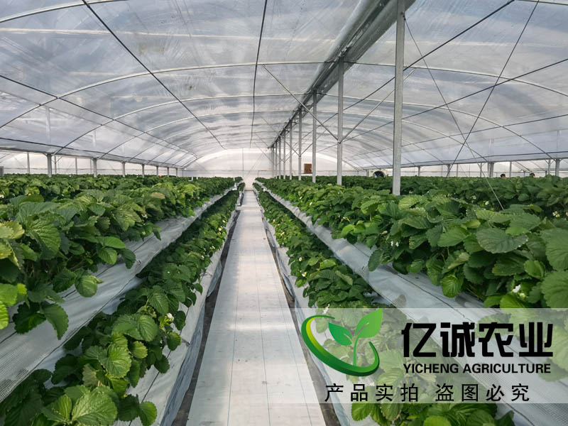 新型农业智能温室大棚可实现全年高产、稳定，适用于良种蔬菜、花卉