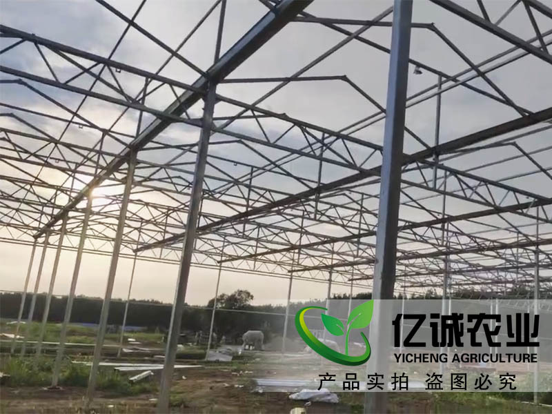 智能蔬菜温室大棚 智能蔬菜温室大棚