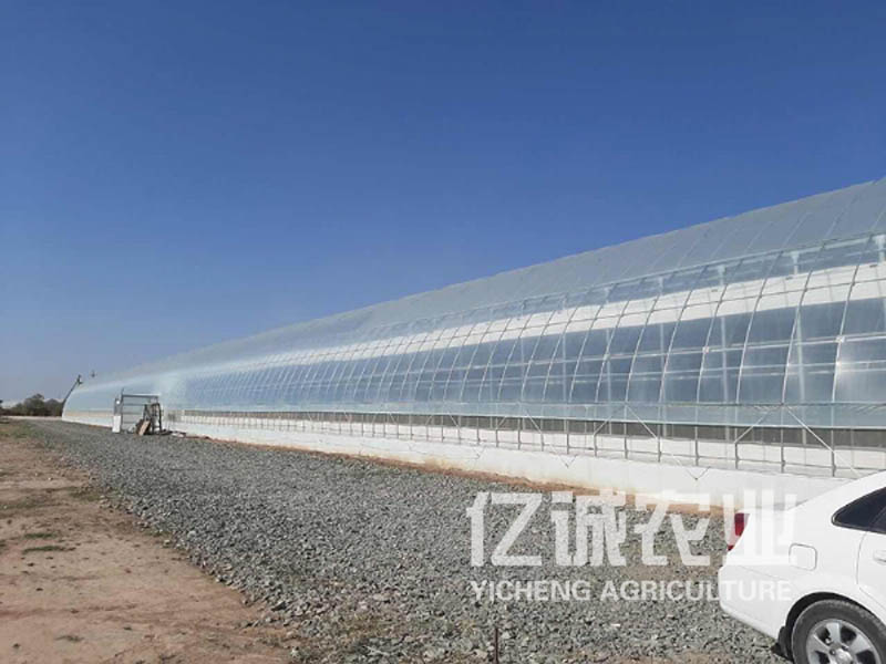 乌兹别克斯坦温室大棚建设项目