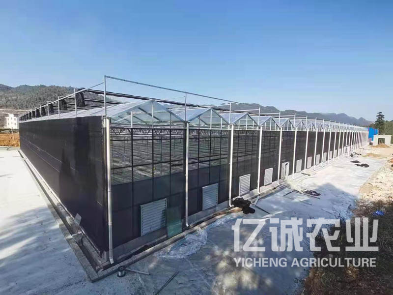 智能玻璃温室工程建设