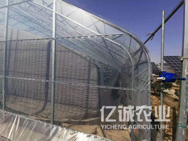 双拱双膜温室大棚建设