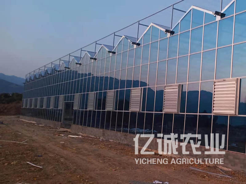 智能纹络玻璃温室建造厂家