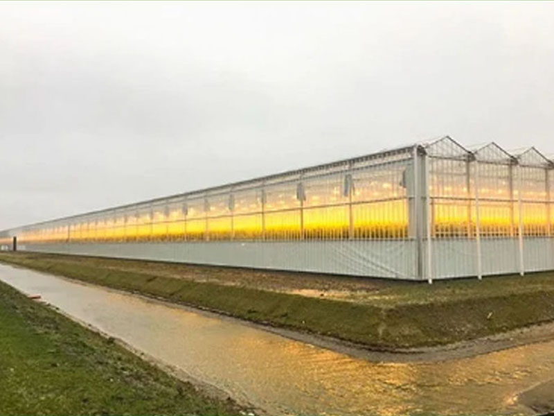 荷兰玻璃温室