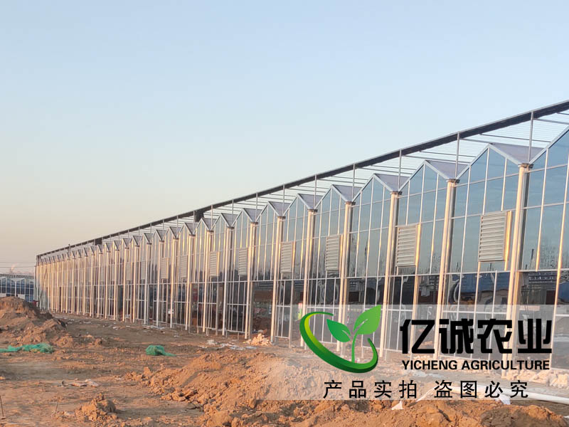 西安花卉市场三期玻璃温室工程