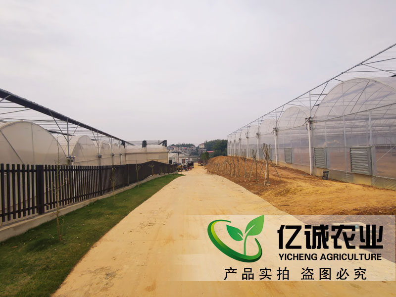 智慧农业温室大棚建设在南昌